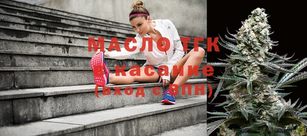 гидра Мегион