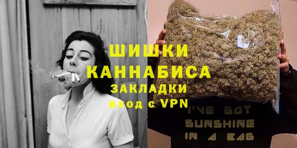 гидра Мегион