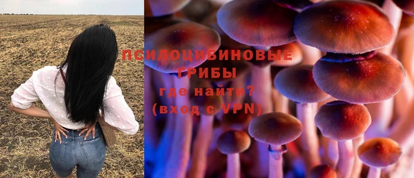 гидра Мегион